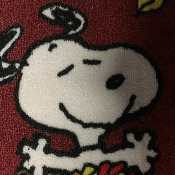 NWT Snoopy Peanuts fall accent rug mat - Picture 4 of 6
